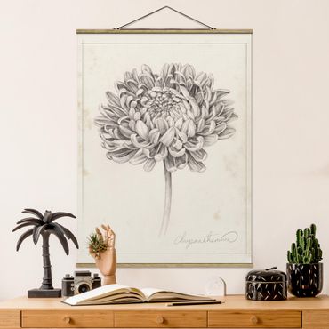 Stoffbild mit Posterleisten - Botanische Studie Chrysantheme II - Hochformat 3:4