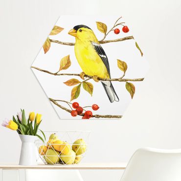 Hexagon Bild Forex - Vögel und Beeren - Goldzeisig
