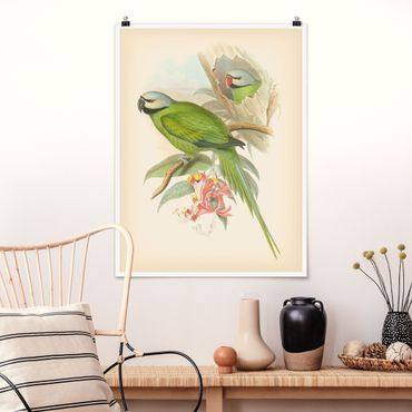 Poster - Vintage Illustration Tropische Vögel II - Hochformat 4:3