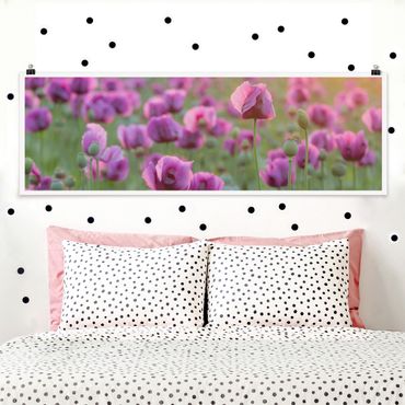 Poster - Violette Schlafmohn Blumenwiese im Frühling - Panorama Querformat