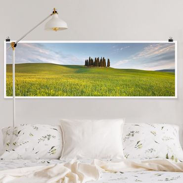 Poster - Grünes Feld in Toskana - Panorama Querformat