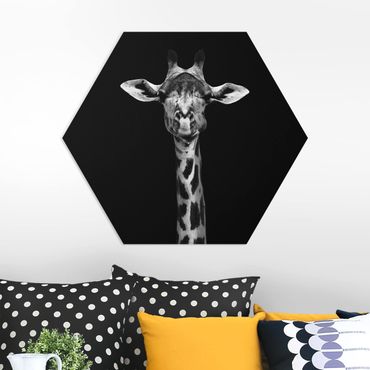 Hexagon Bild Forex - Dunkles Giraffen Portrait