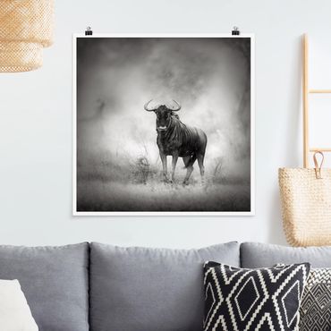 Poster - Staring Wildebeest - Quadrat 1:1