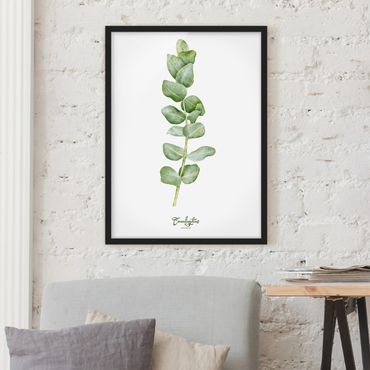 Bild mit Rahmen - Aquarell Botanik Eukalyptus - Hochformat 3:4