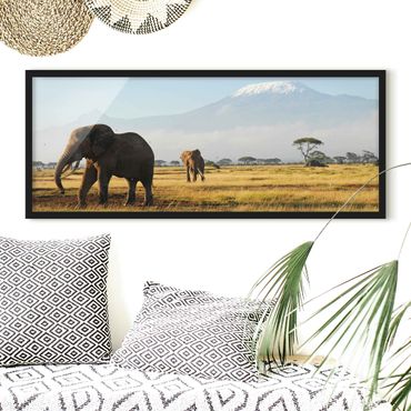 Bild mit Rahmen - Elefanten vor dem Kilimanjaro in Kenya - Panorama Querformat