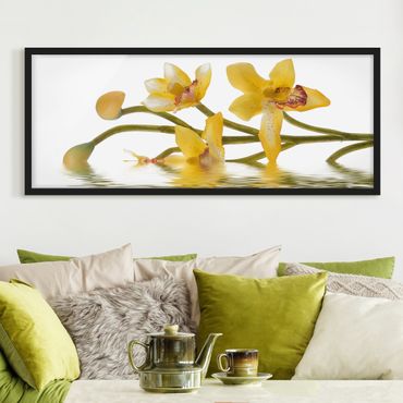 Bild mit Rahmen - Saffron Orchid Waters - Panorama Querformat