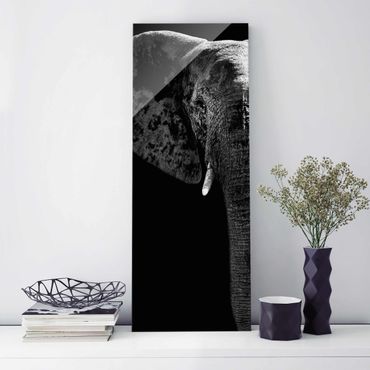 Glasbild - Afrikanischer Elefant schwarz-weiss - Panorama Hoch