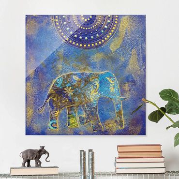 Glasbild - Elephant in Marrakech - Quadrat 1:1