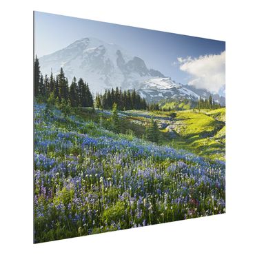 Aluminium Dibond tavla - Mountain Meadow With Blue Flowers in Front of Mt. Rainier