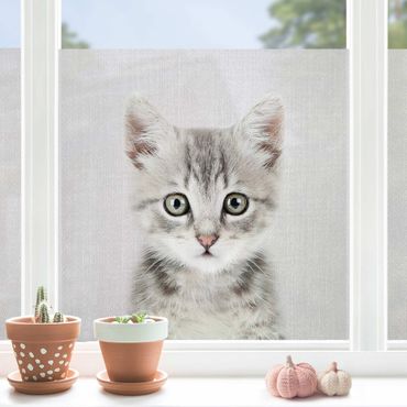 Vinduesklistermærke - Baby Cat Killi