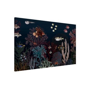 Magnettavle - Colourful coral reef at night