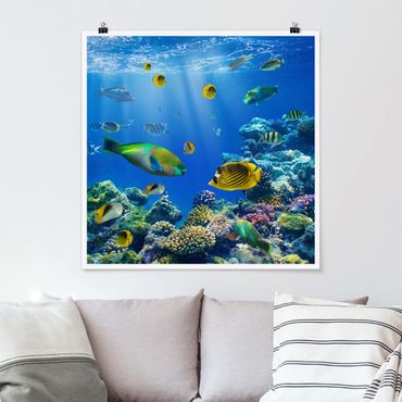 Poster - Underwater Lights - Quadrat 1:1