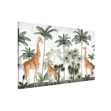 Magnettavle - Elegance of the giraffes in the jungle