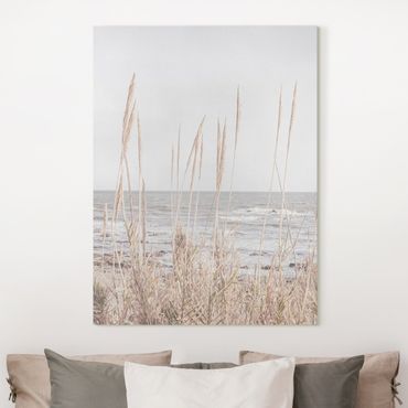 Billede på lærred - Grasses by the sea