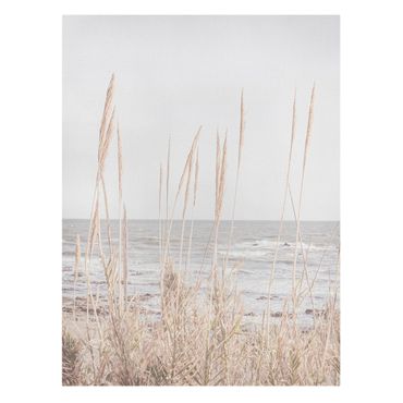 Billede på lærred - Grasses by the sea