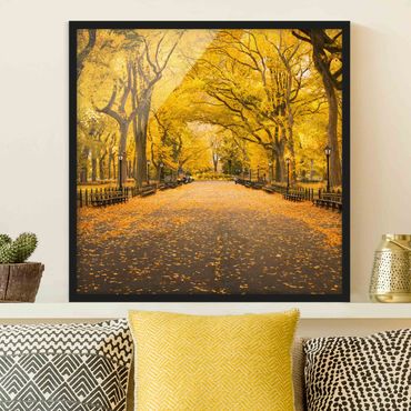 Bild mit Rahmen - Herbst im Central Park - Quadrat