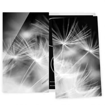 Herdabdeckplatte Glas - Bewegte Pusteblumen Nahaufnahme auf schwarzem Hintergrund