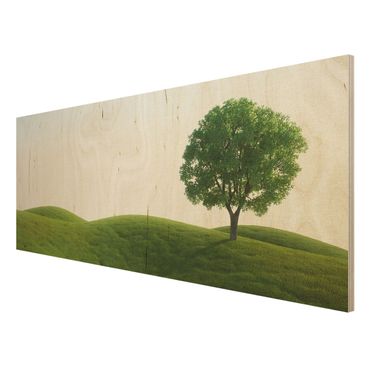 Holzbild - Grüne Ruhe - Panorama Quer
