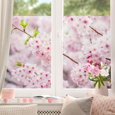Vinduesklistermærke - Japanese Cherry Blossoms