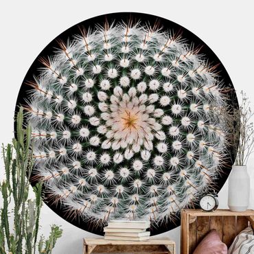 Runde Tapete selbstklebend - Kaktusblüte