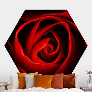 Hexagon Mustertapete selbstklebend - Liebliche Rose