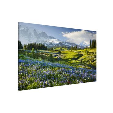 Magnettavla - Mountain Meadow With Blue Flowers in Front of Mt. Rainier