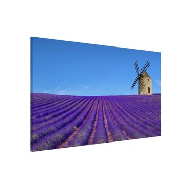 Magnettafel - Lavendelduft in der Provence - Memoboard Hoch