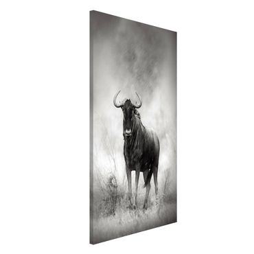 Magnettafel - Staring Wildebeest - Memoboard Hoch
