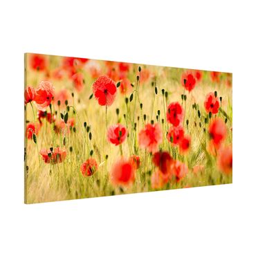 Magnettafel - Summer Poppies - Memoboard Panorama Quer