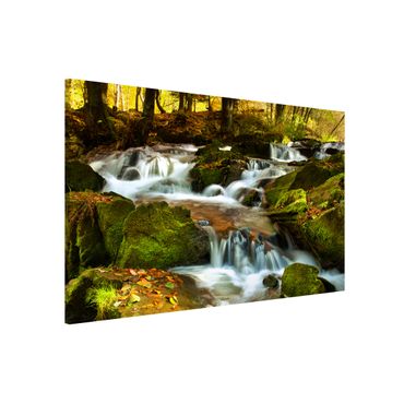 Magnettafel - Wasserfall herbstlicher Wald - Memoboard Panorama Hoch