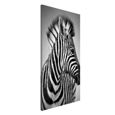 Magnettafel - Zebra Baby Portrait II - Memoboard Hoch