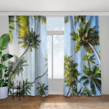 Gardiner - Palm Tree Canopy