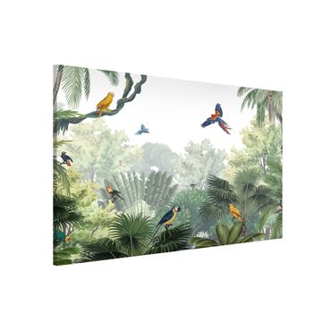 Magnettavle - Parrot parade in the gentle jungle