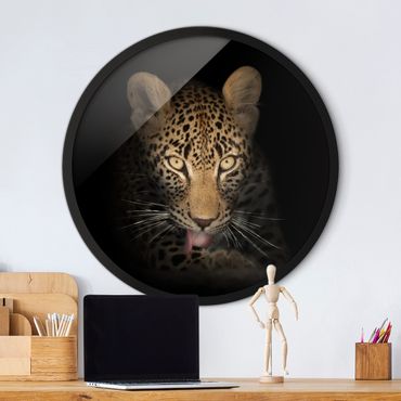 Rundes Gerahmtes Bild - Resting Leopard