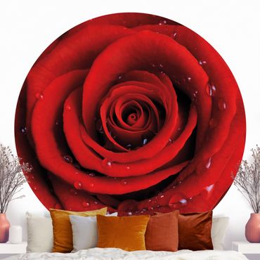 Runde Tapete selbstklebend - Rote Rose mit Wassertropfen