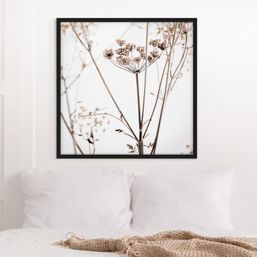 Bild mit Rahmen - Trockenblume im Lichtspiel - Quadrat