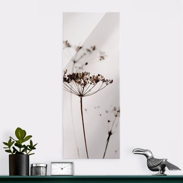 Glasbild - Trockenblume im Schatten - Hochformat