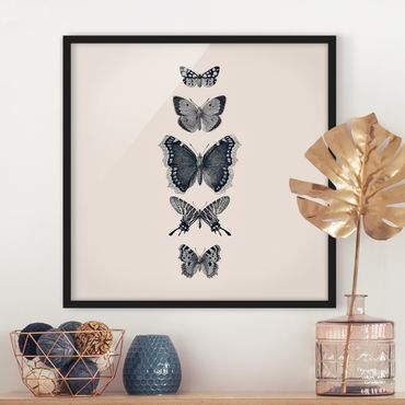 Bild mit Rahmen - Tusche Schmetterlinge auf Beige - Quadrat