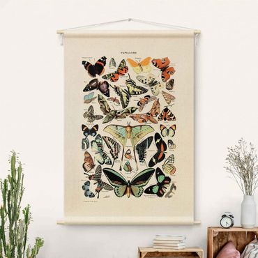 Gobelin - Vintage Teaching Illustration Butterflies