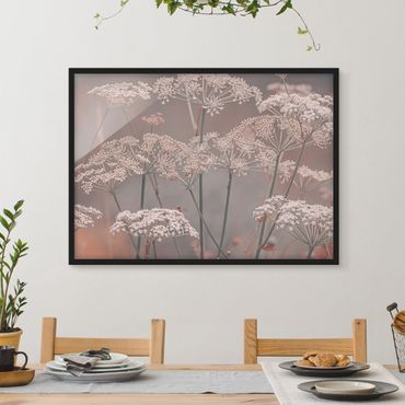 Bild mit Rahmen - Wilde Doldenblüten - Querformat