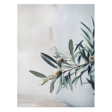 Billede på lærred - Delicate olive branch in blossom