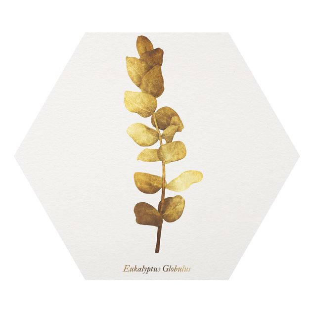 Forex Gold - Eucalyptus