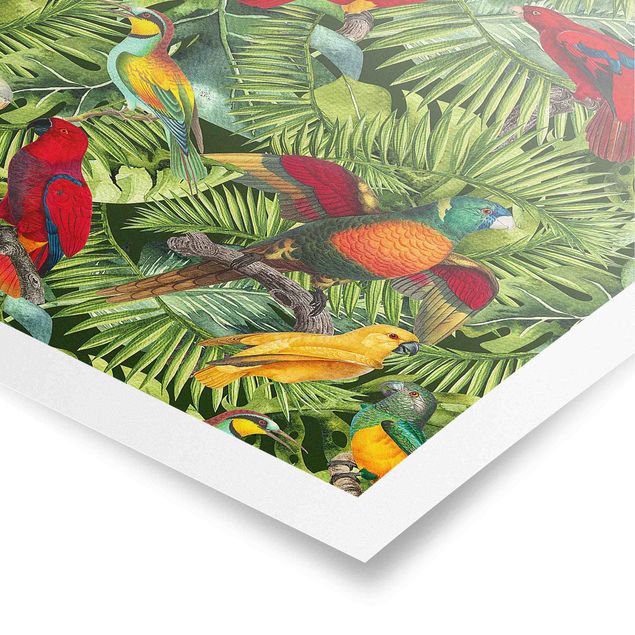 Plakater kunsttryk Colourful Collage - Parrots In The Jungle