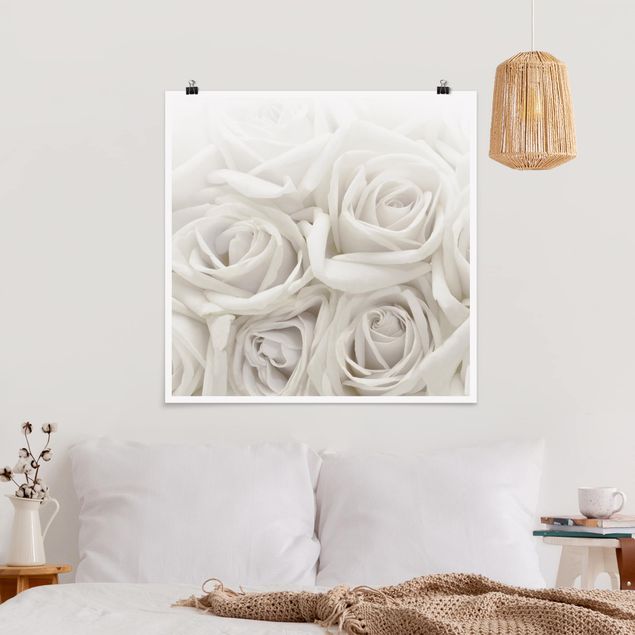 Plakater blomster White Roses