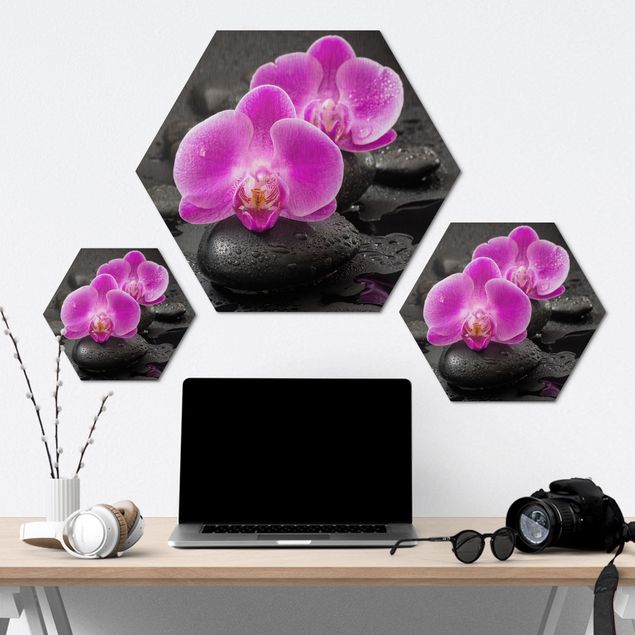 Sekskantede billeder Pink Orchid Flower On Stones With Drops