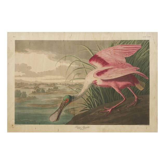 Prints på træ landskaber Vintage Board Pink Sturgeon