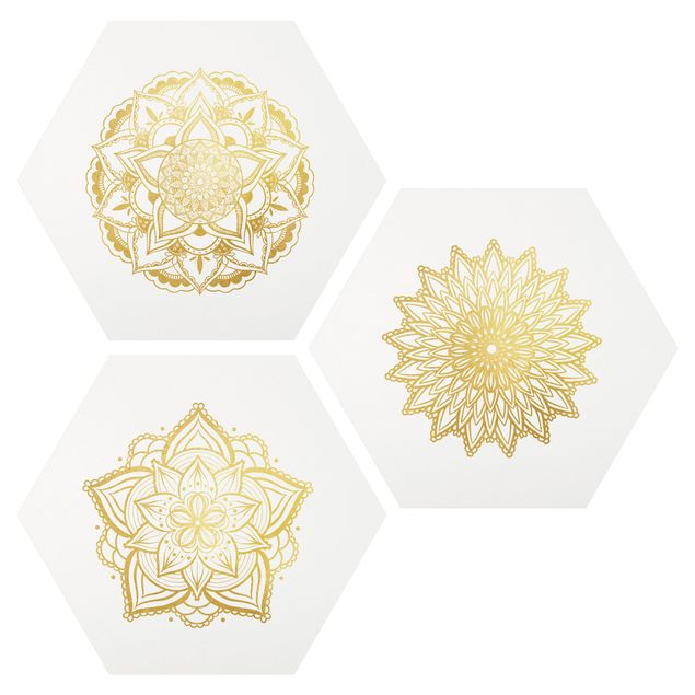 Billeder spirituelt Mandala Flower Sun Illustration Set Gold
