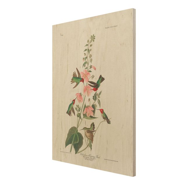 Prints på træ vintage Vintage Board Colombian Hummingbird