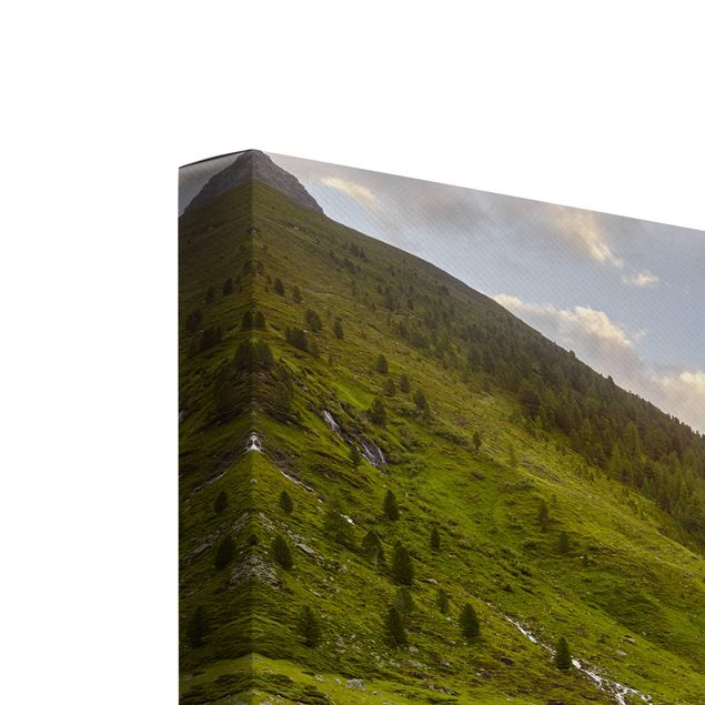 Billeder moderne Alpine meadow Tirol