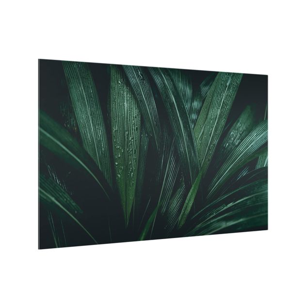 Stænkplader glas Green Palm Leaves